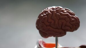 Powerful Mind Tricks to Persuade Anyone, According to Experts